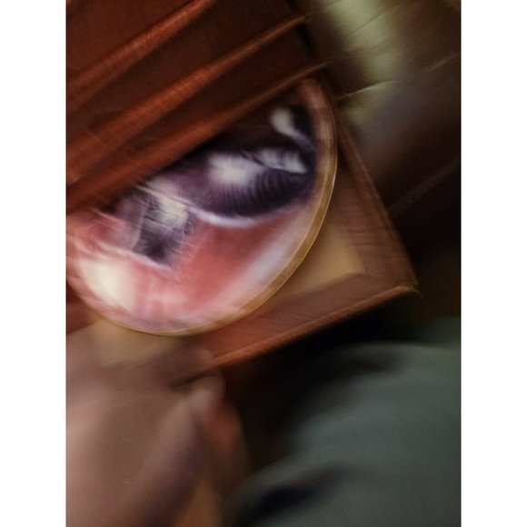 The bradford exchange plates Lot of 8 1996 Cats - Picture 8 of 10